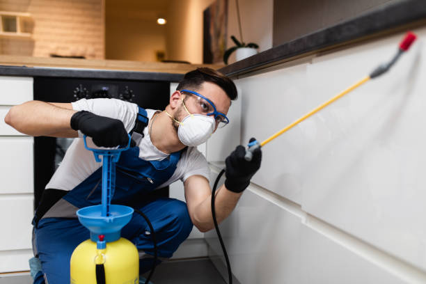 Best Mosquito Control Services  in Dunmore, PA