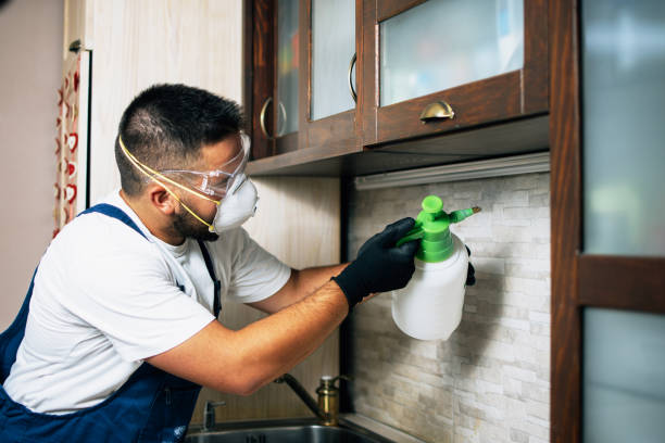 Best Emergency Pest Control  in Dunmore, PA