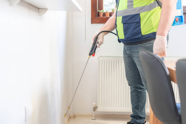 Best Flea Control Services  in Dunmore, PA